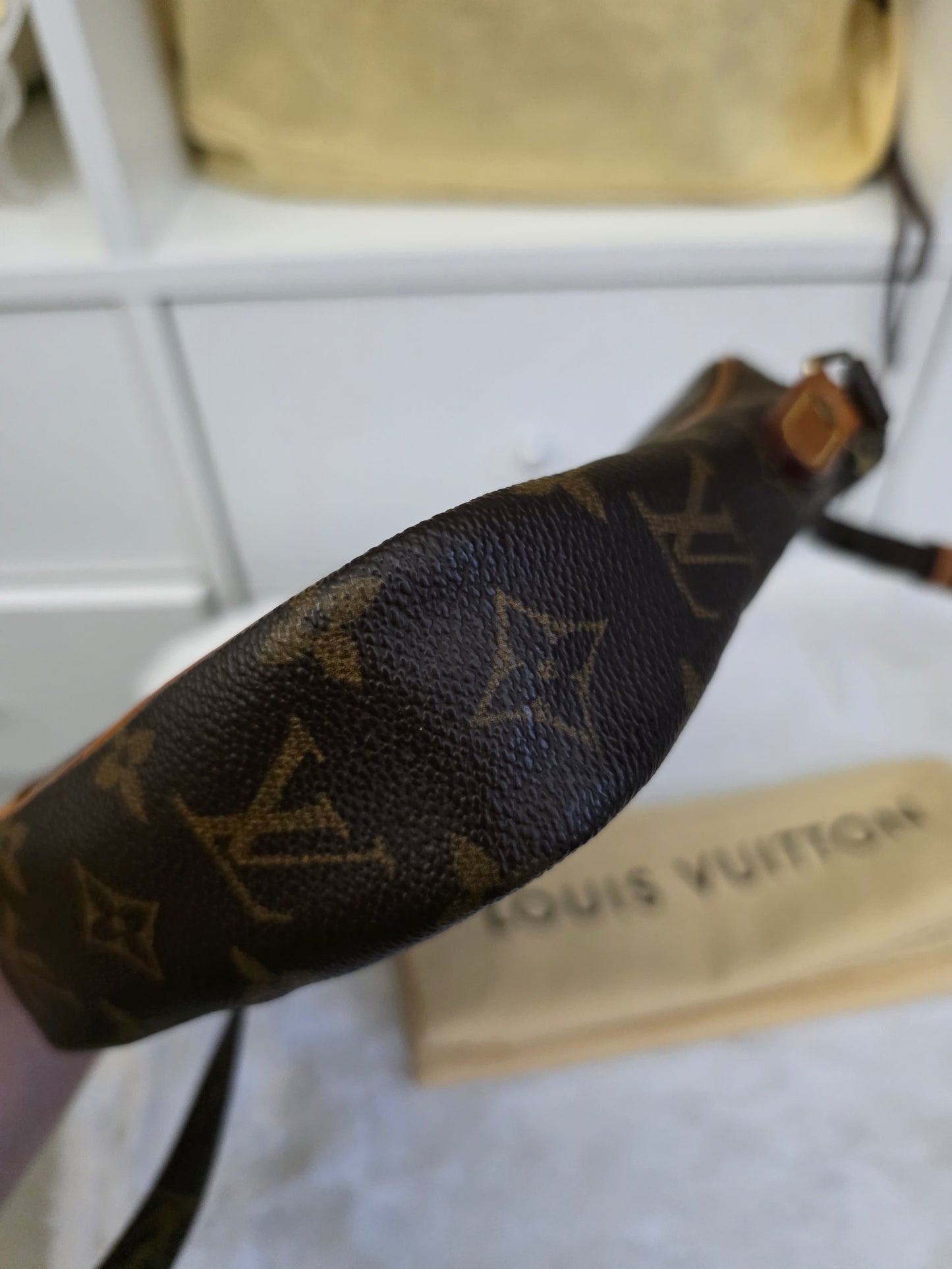 PRELOVED Louis Vuitton Monogram DANUBE Ar0060